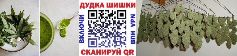 Canna-Cookies конопля  Купить закладки  Кизляр 