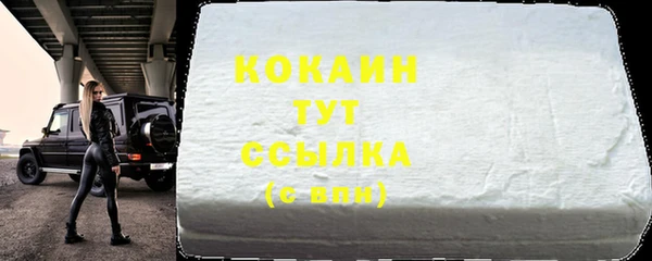 прущий лед Ельня