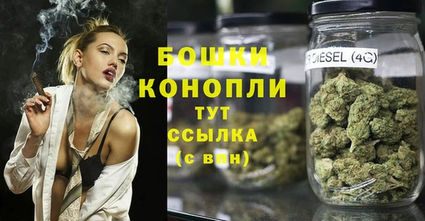 прущий лед Ельня