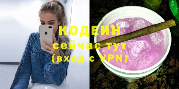 стаф Елабуга