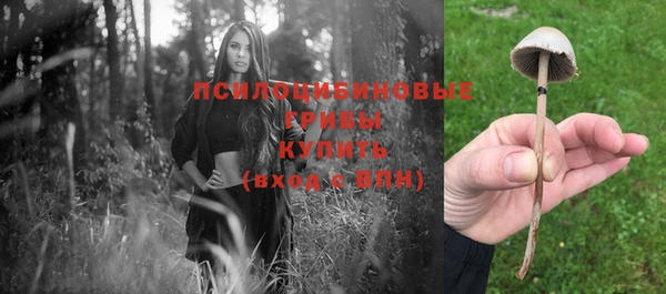 стаф Елабуга